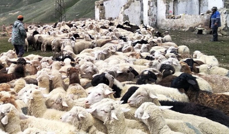 Трудности на пути перегона