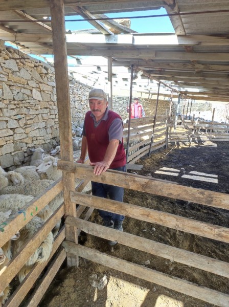 Осенние ветеринарные мероприятия в районах республики