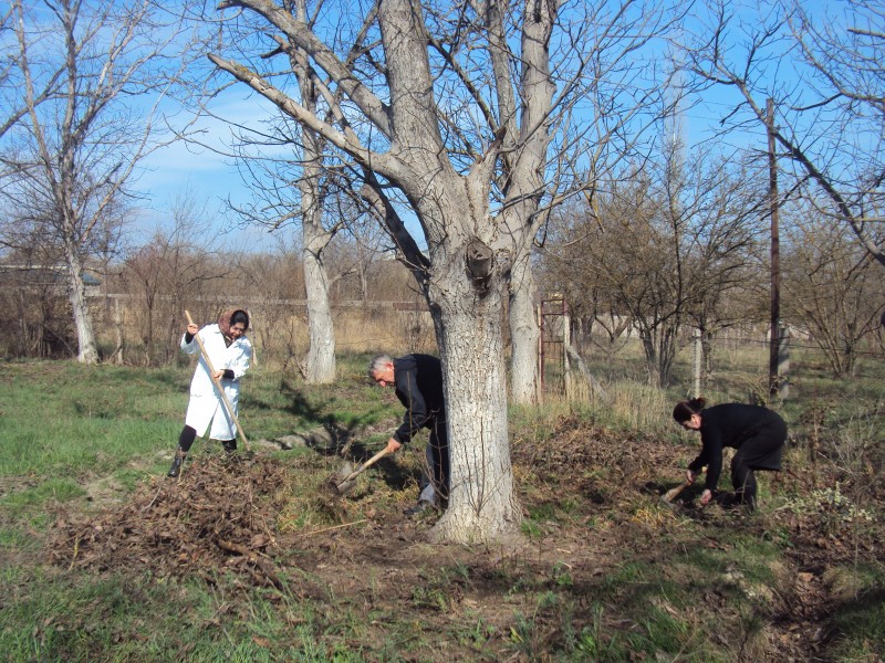 О проведении субботника