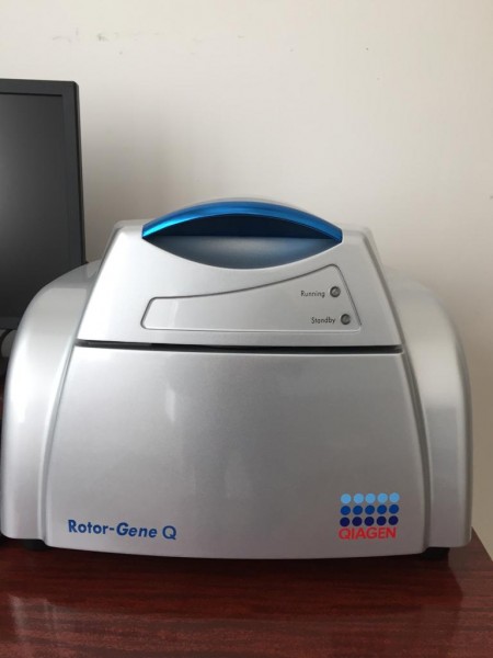 Республиканская ветеринарная лаборатория оснащается современным оборудованием