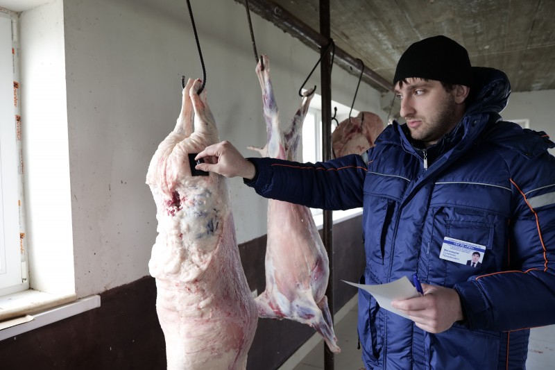 Мониторинговая работа на ярмарках и рынках выходного дня