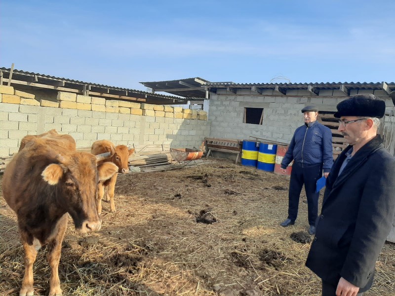 Ветеринарные мероприятия в Тарумовском районе