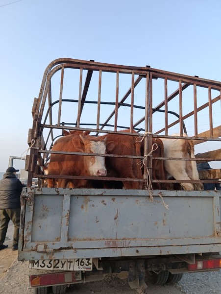 Мониторинговые мероприятия межрайонного отдела «Северный»