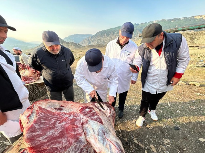 Выездные мероприятия на ярмарках выходного дня