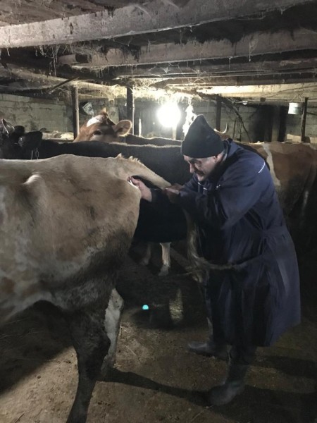 В Хасавюрте начались плановые ветеринарные мероприятия 2023 года