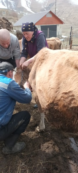 В Гунибском районе обсудили эпизоотическую ситуацию