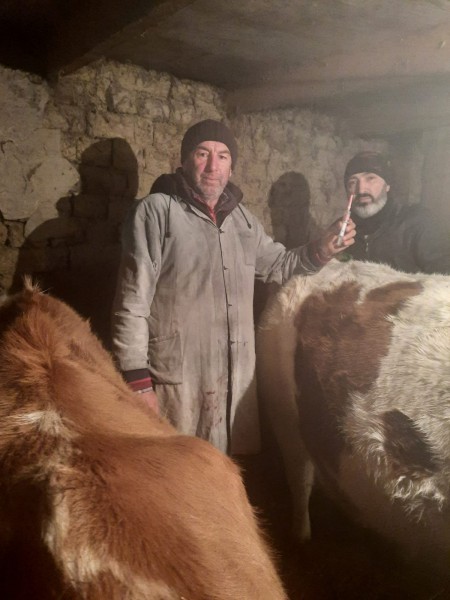 Ветеринарные мероприятия в Чародинском районе