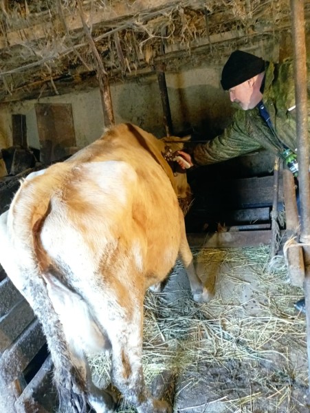 Ход выполнения плановых ветеринарных мероприятий в хозяйствах республики