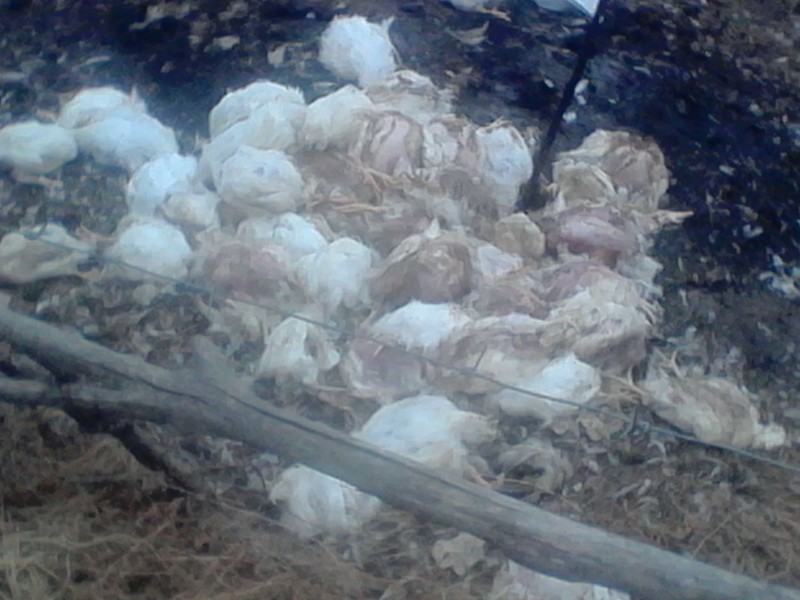 Совместные мероприятия с прокуратурой