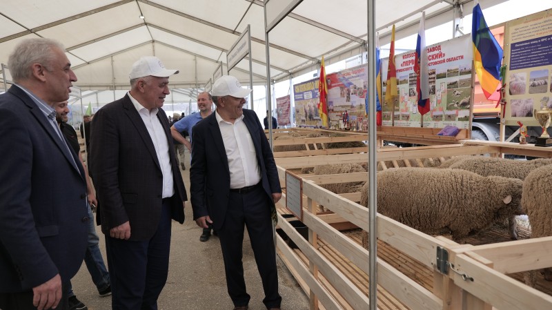 В Дагестане проходит 23 –я Российская выставка племенных овец и коз