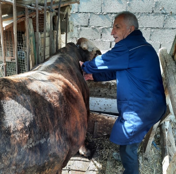 Плановые ветеринарные мероприятия