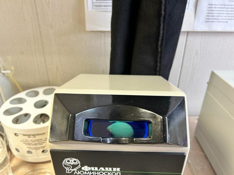 Выездные мероприятия на ярмарках выходного дня