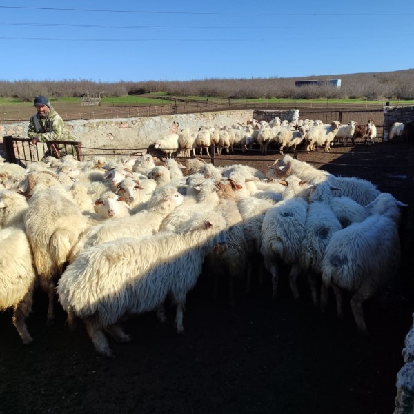 Мониторинговые мероприятия на купочных ваннах