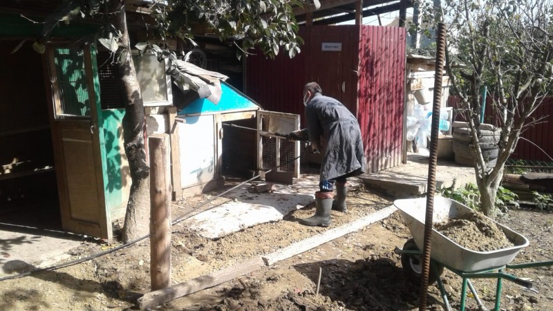 В Магарамкентском районе проводится вакцинация птицы