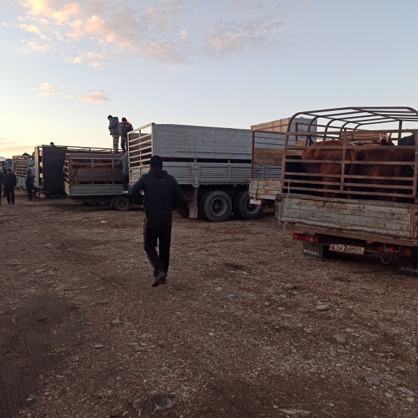 Мониторинговые мероприятия на рынках Хасавюртовского района