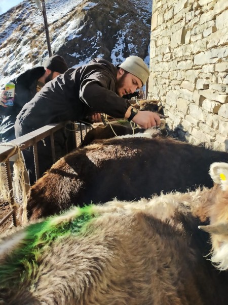 В Кулинском районе продолжаются весенние плановые мероприятия