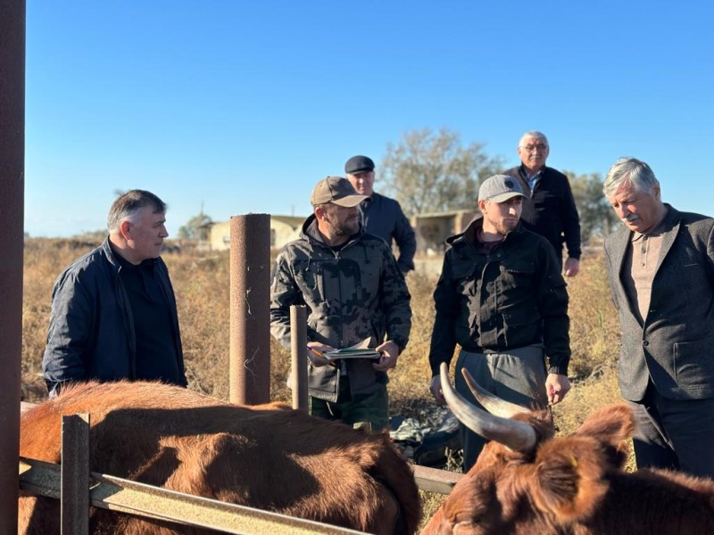 Председатель Комитета ознакомился с ходом проведения ветеринарных мероприятий на землях отгонного животноводства