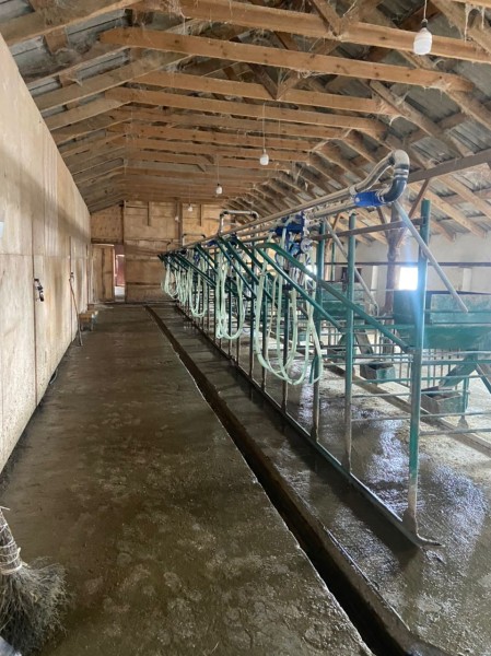 Консультативная помощь