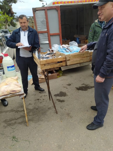 Мониторинговая работа южного межрайонного отдела эпизоотического благополучия