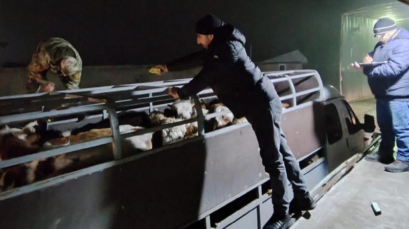 Итоги работы республиканского ветеринарного управления в первом полугодии 2025 года