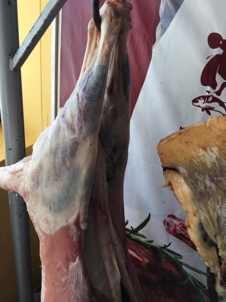 Мониторинговые мероприятия в Хунзахском районе