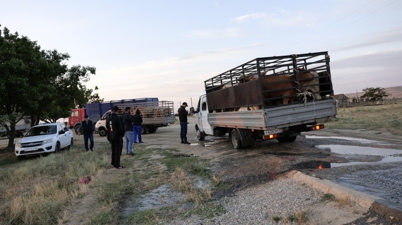 Рейд на ООО «Манасская ярмарка»