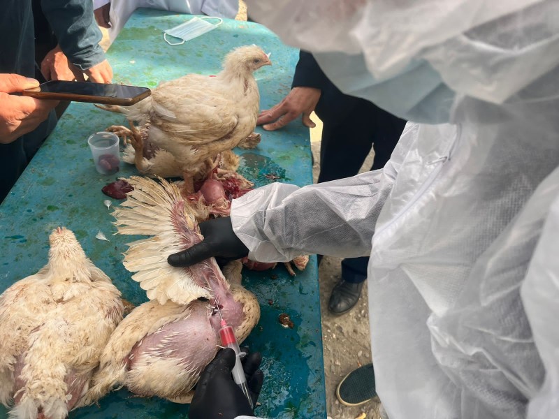 Учения в Бабаюртовском районе