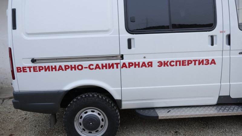 Мониторинговая работа на ярмарках и рынках выходного дня