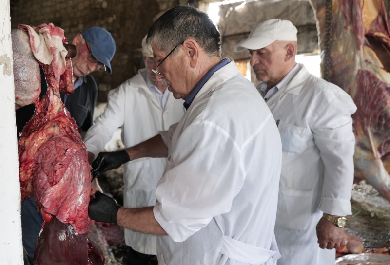 Контрольные мероприятия ветеринарных специалистов