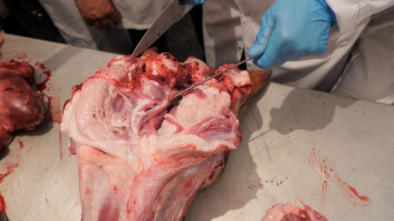 В Махачкале проведено занятие по совершенствованию практического мастерства специалистов ЛВСЭ