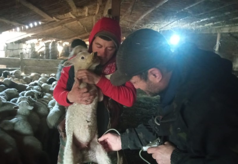 Противоэпизоотические мероприятия в республике