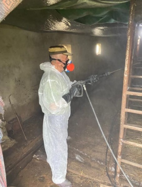 Дезинфекционные мероприятия