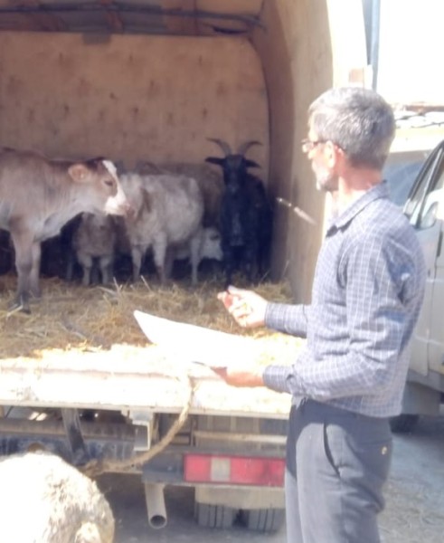 Мониторинговые мероприятия северного межрайонного отдела