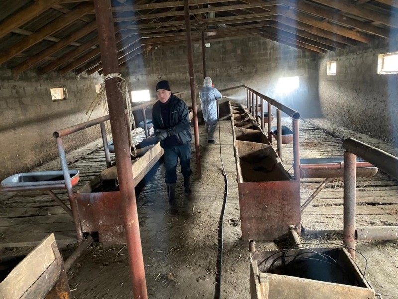 Дезинфекционные мероприятия в очаге инфекции