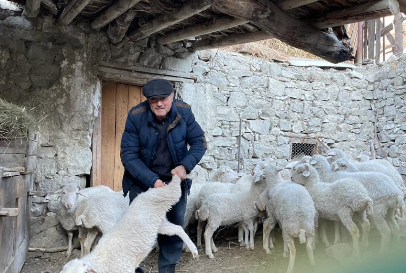 Ветеринарные мероприятия в хозяйствах Гунибского района