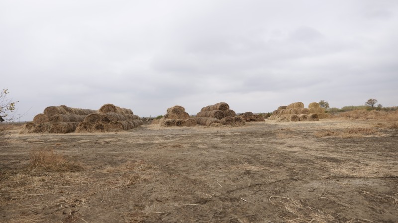 Мониторинговые мероприятия в племенных хозяйствах Гунибского района