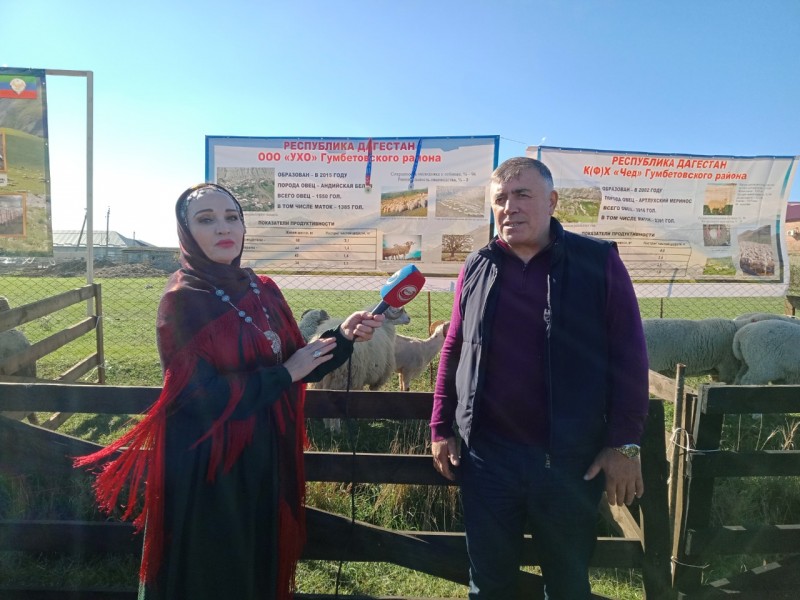 Аграрный фестиваль