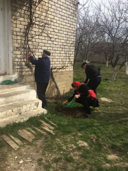 О проведении субботника