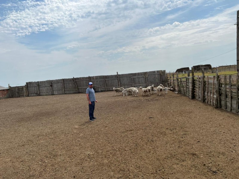 Контроль эпизоотической ситуации в Тарумовском районе