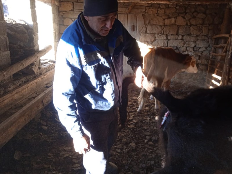 Ветеринарные мероприятия в хозяйствах Гунибского района