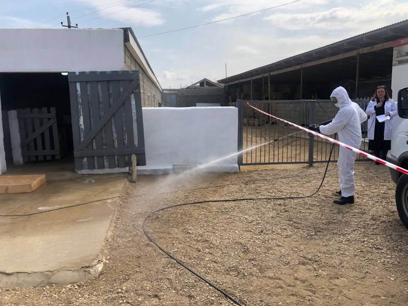Региональные командно-штабные учения по локализации и ликвидации условного очага бешенства