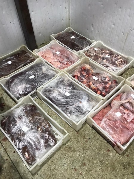 Ветеринарные мероприятия в Ногайском районе