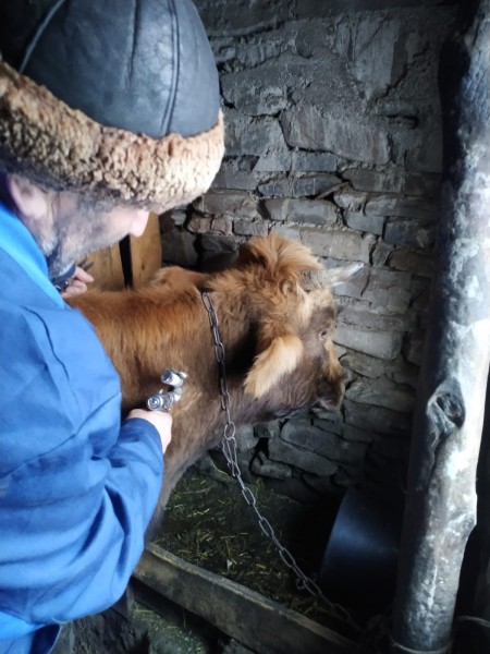 Плановые профилактические и диагностические мероприятия