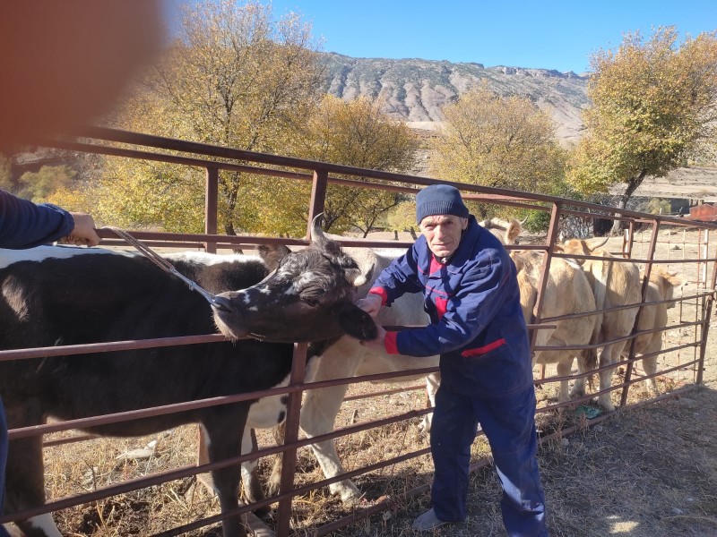 В хозяйствах республики продолжаются плановые ветеринарные диагностические мероприятия