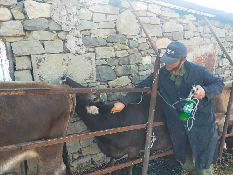Противоэпизоотические мероприятия в республике