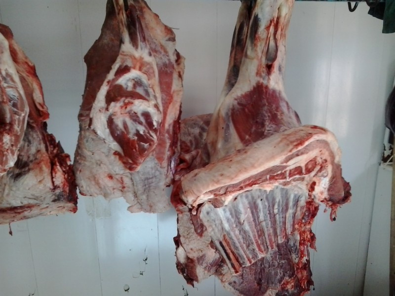 Контрольные мероприятия в Южно-Сухокумске