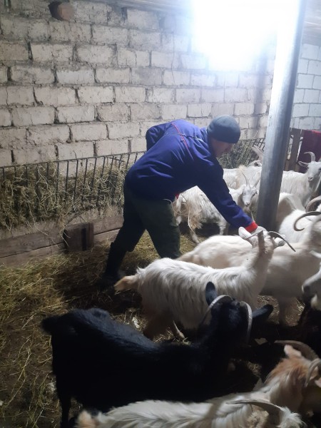 Ветеринарные мероприятия в Хивском районе