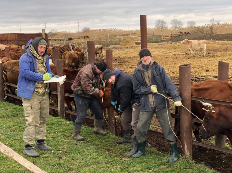 Плановые профилактические и диагностические мероприятия
