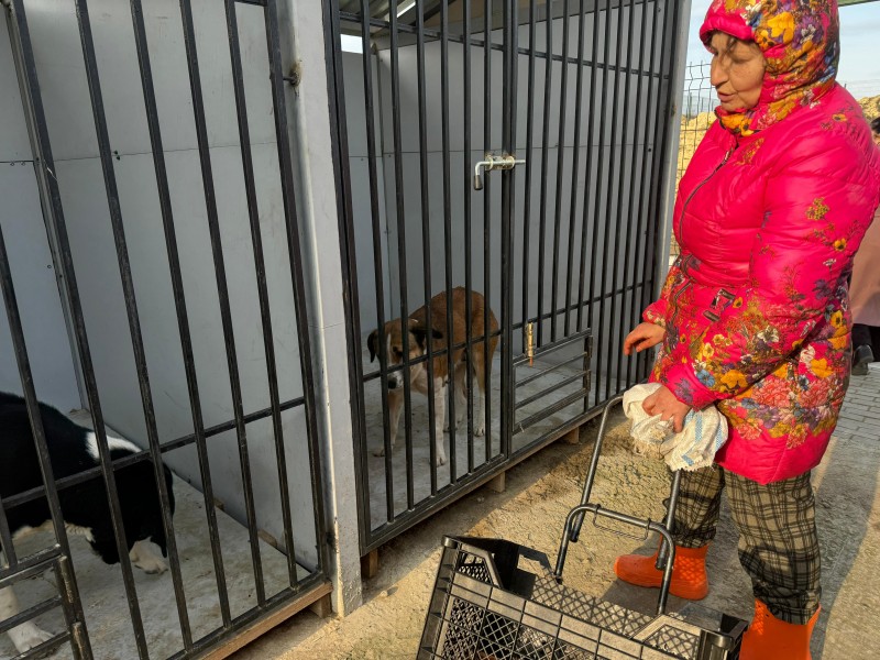 Председатель Комитета осмотрел в Дербенте приют для животных без владельцев