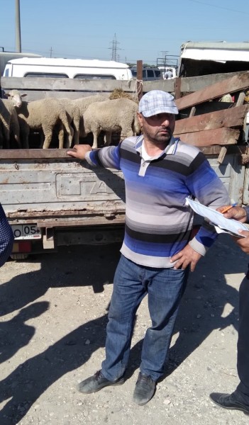 Мониторинговые мероприятия северного межрайонного отдела